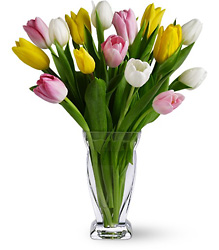  Tulip Treasure Vase from Parkway Florist in Pittsburgh PA